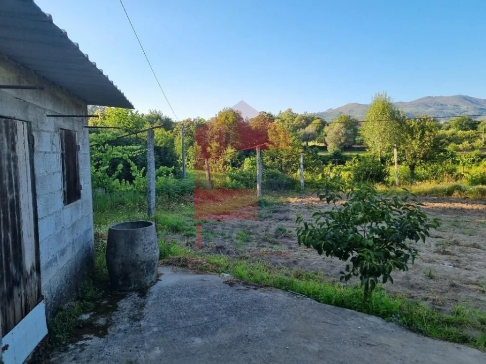 Terreno para Venda em Pico Foto 2