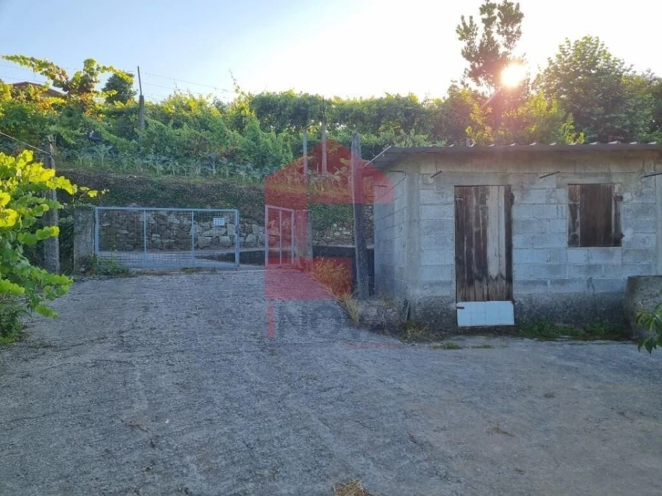 Terreno para Venda em Pico Foto 8