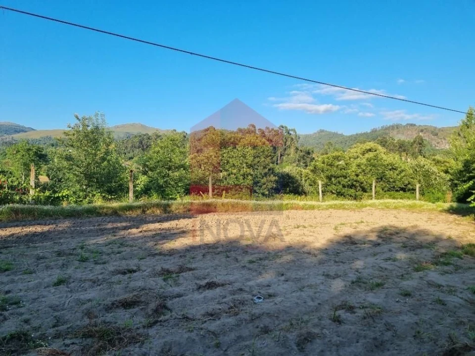 Terreno para Venda em Pico Foto 6