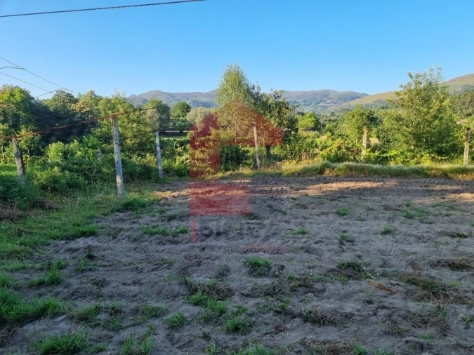 Terreno para Venda em Pico Foto 3