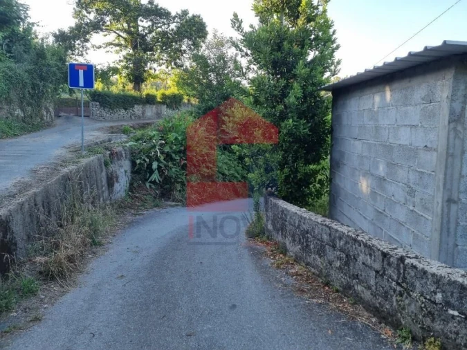 Terreno para Venda em Pico Foto 10