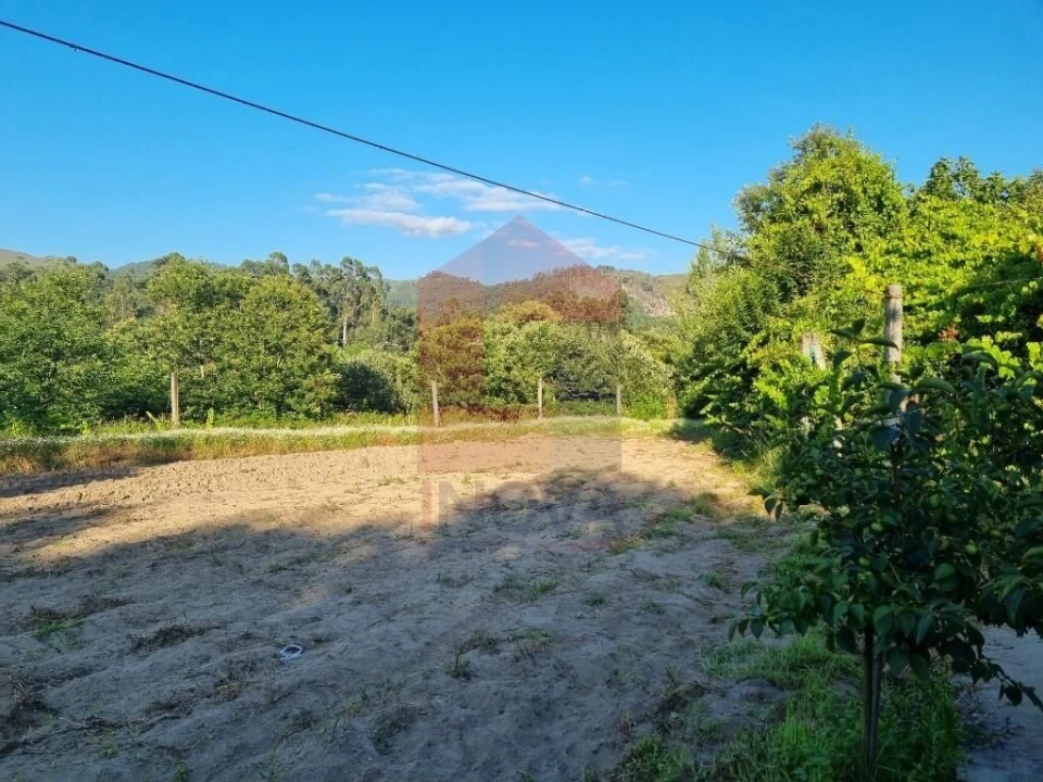 Terreno para Venda em Pico Foto 4
