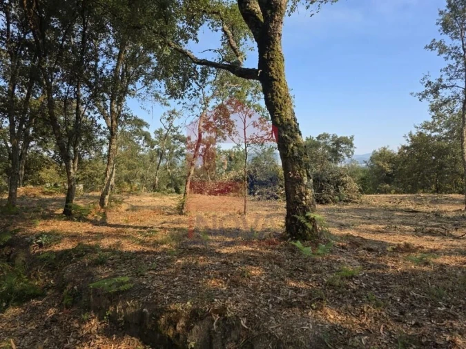 Terreno para Venda em Turiz Foto 11