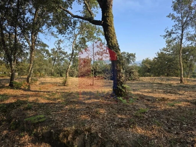 Terreno para Venda em Turiz Foto 14