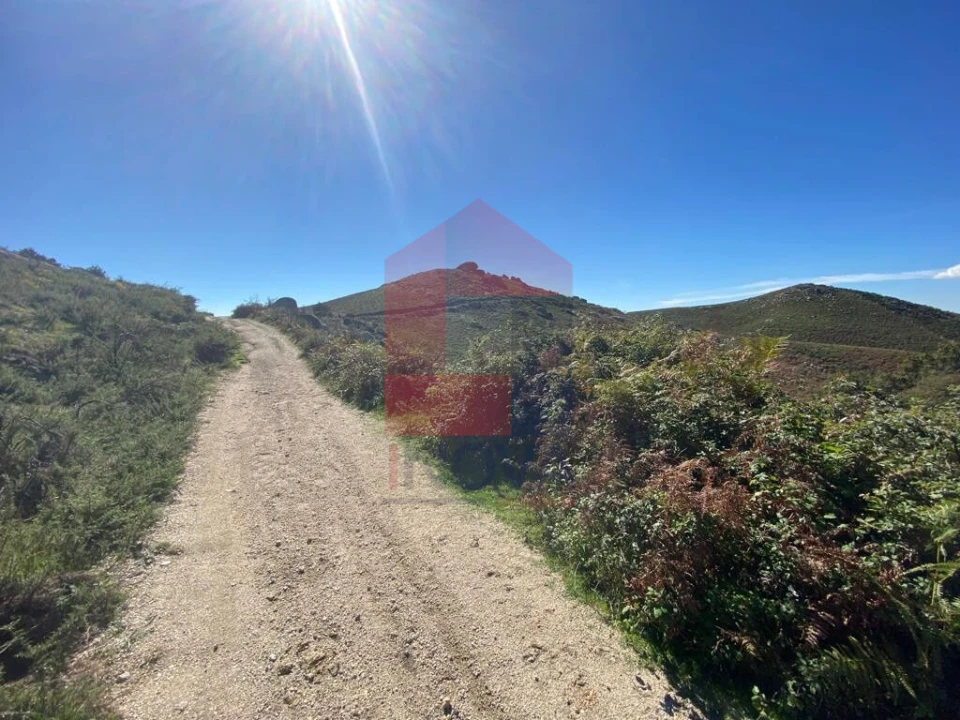 Terreno para Venda em Valdreu Foto 4