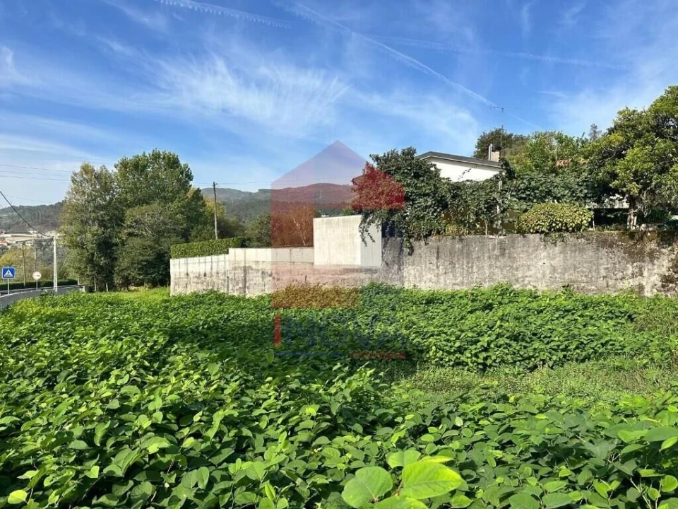 Terreno para Venda em Moimenta Foto 8