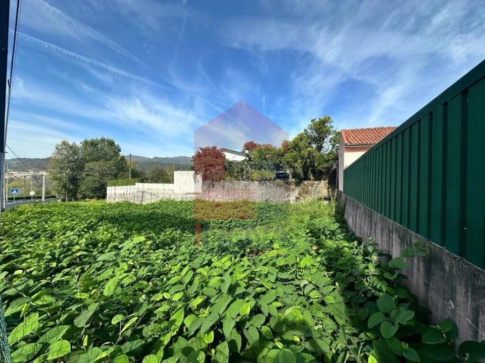 Terreno para Venda em Moimenta Foto 9