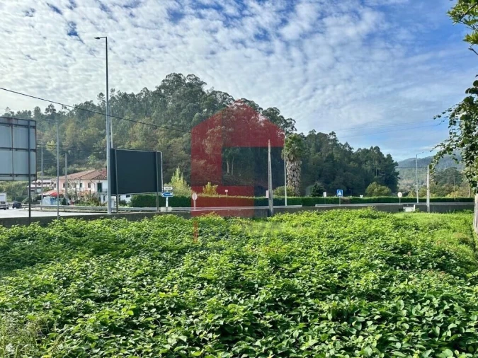 Terreno para Venda em Moimenta Foto 12