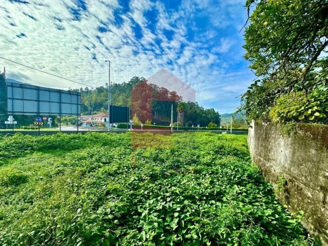 Terreno para Venda em Moimenta Foto 11