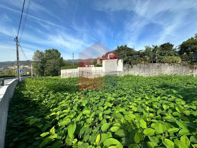 Terreno para Venda em Moimenta Foto 7