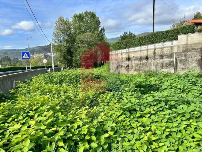 Terreno para Venda em Moimenta Foto 4
