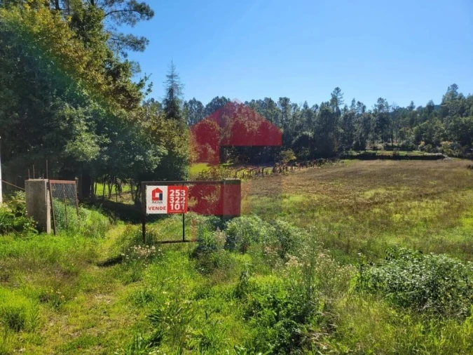 Armazém para Venda em Cervães Foto 4