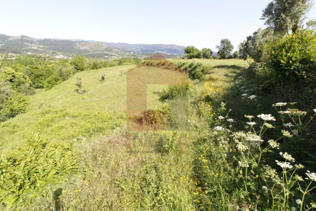 Terreno para Venda em Prado (São Miguel) Foto 3
