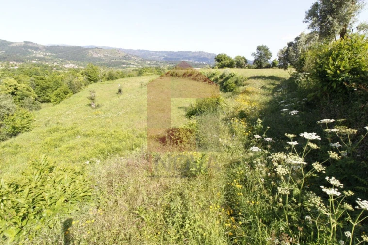 Terreno para Venda em Prado (São Miguel) Foto 3