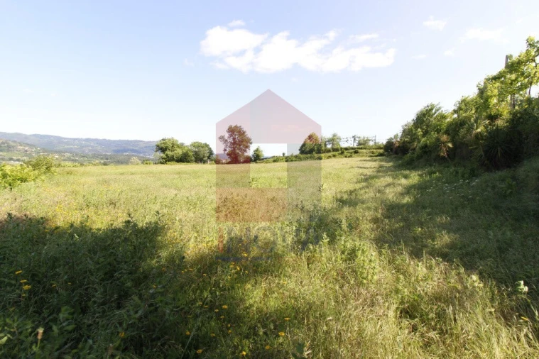 Terreno para Venda em Prado (São Miguel) Foto 4