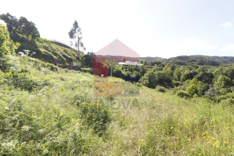 Terreno para Venda em Prado (São Miguel) Foto 9