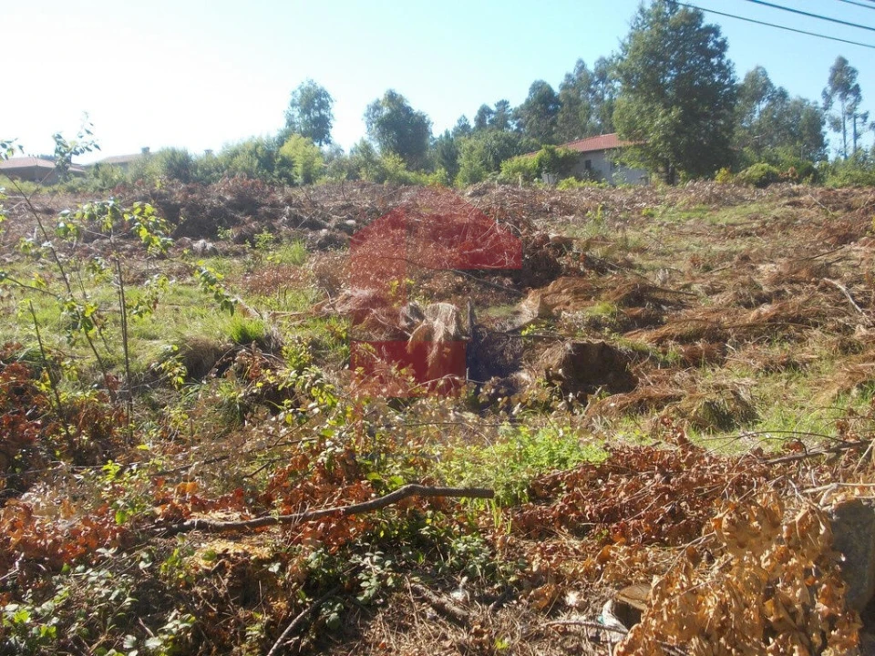 Terreno para Venda em Oleiros Foto 3