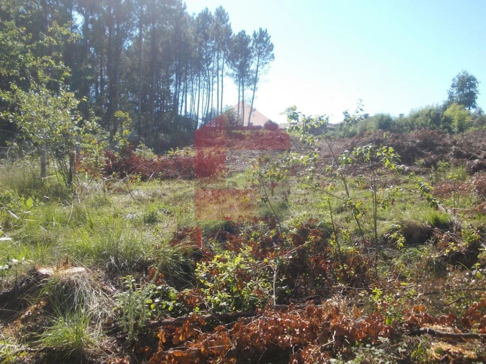 Terreno para Venda em Oleiros Foto 5