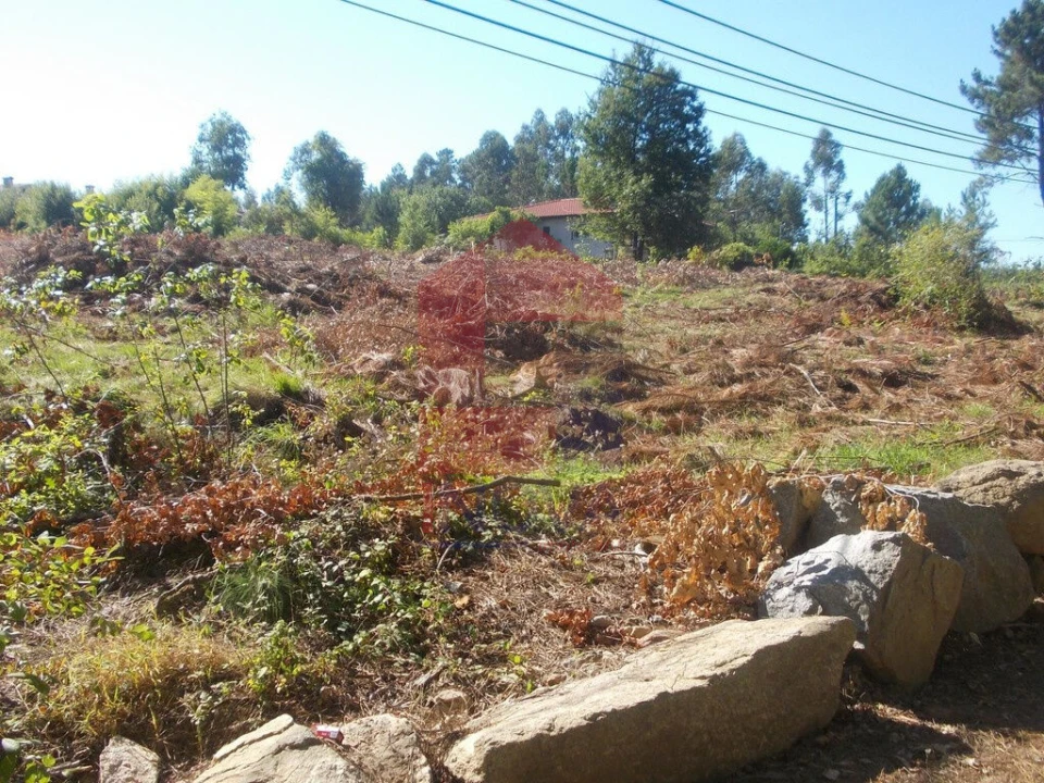 Terreno para Venda em Oleiros Foto 7