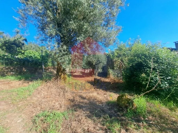 Moradia T0 para Venda em Valdreu Foto 4