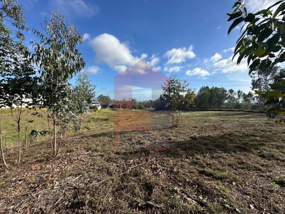 Terreno para Venda em Oleiros Foto 22