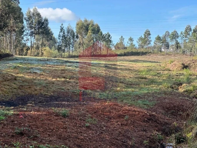 Terreno para Venda em Oleiros Foto 4