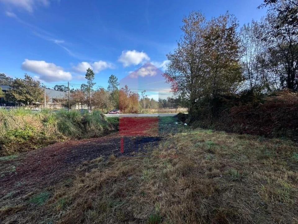 Terreno para Venda em Oleiros Foto 7