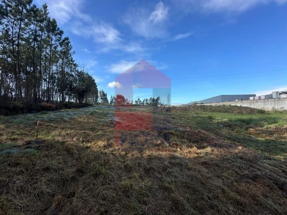 Terreno para Venda em Oleiros Foto 6