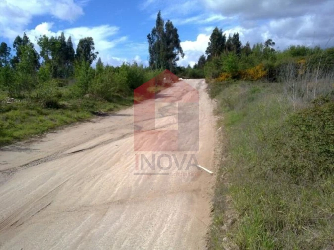 Terreno para Venda em Cabanelas Foto 2