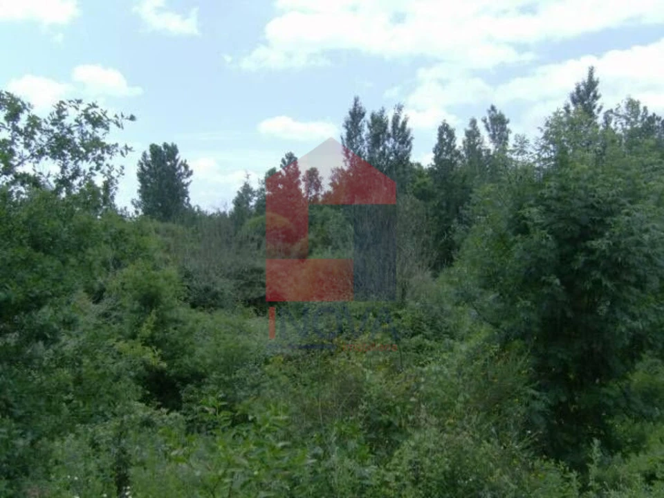 Terreno para Venda em Coucieiro Foto 3