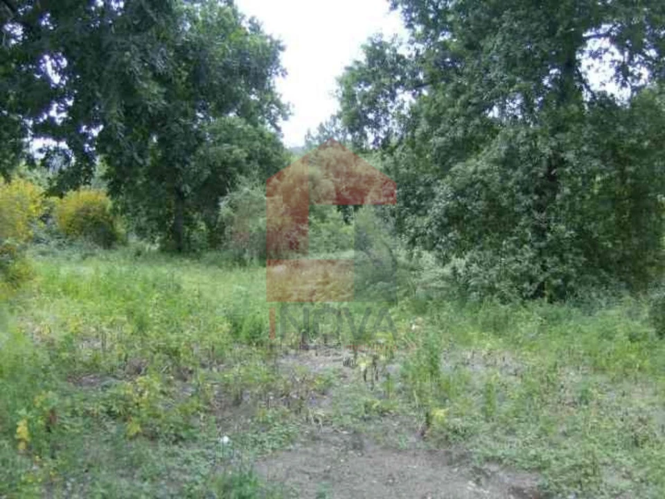Terreno para Venda em Coucieiro Foto 2