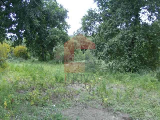 Terreno para Venda em Coucieiro Foto 2