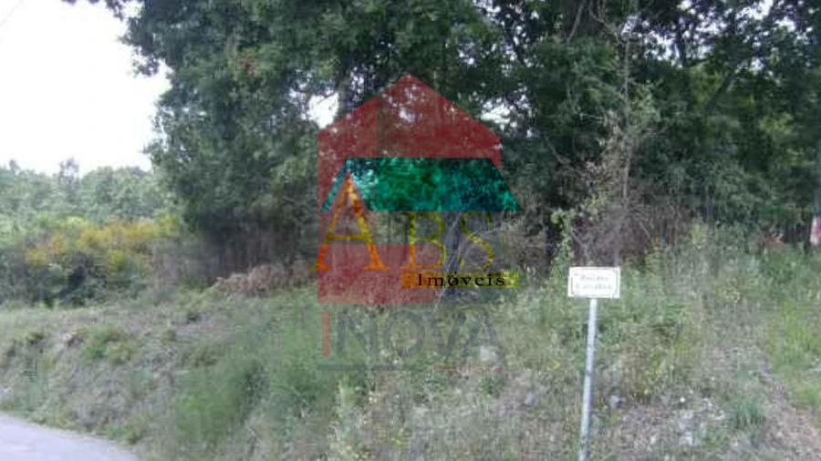 Terreno para Venda em Coucieiro