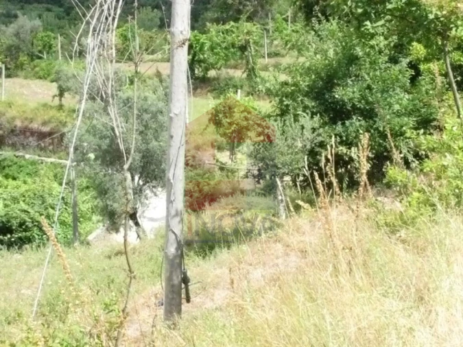 Terreno para Venda em Valdreu Foto 2