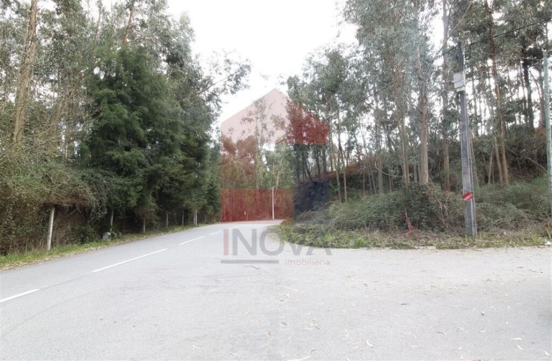 Terreno para Venda em Ponte Foto 7