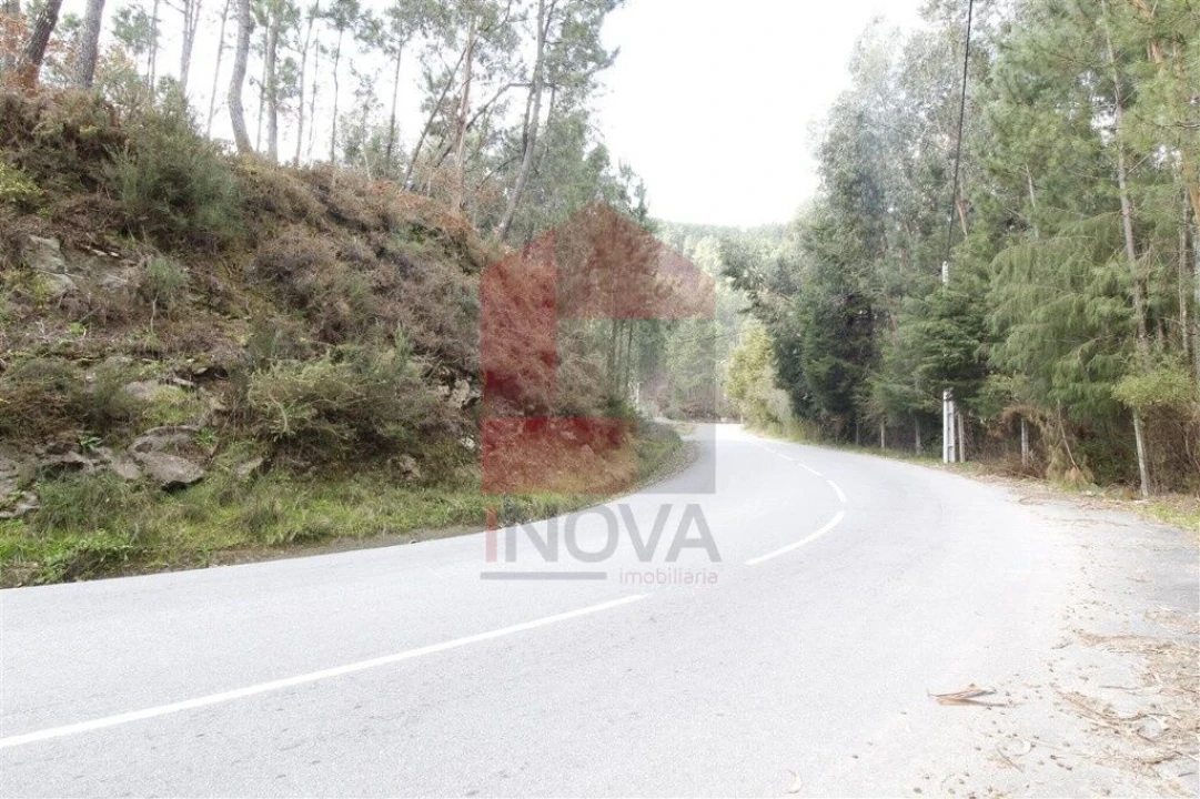 Terreno para Venda em Ponte Foto 4