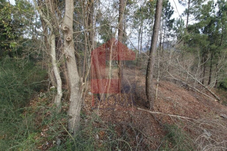 Terreno para Venda em Ponte Foto 11