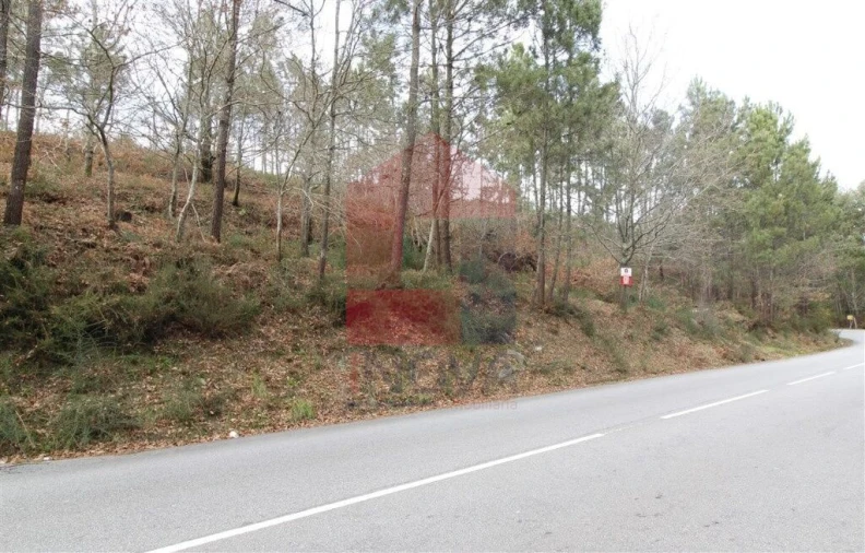 Terreno para Venda em Ponte Foto 1