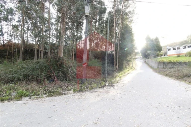 Terreno para Venda em Ponte Foto 8