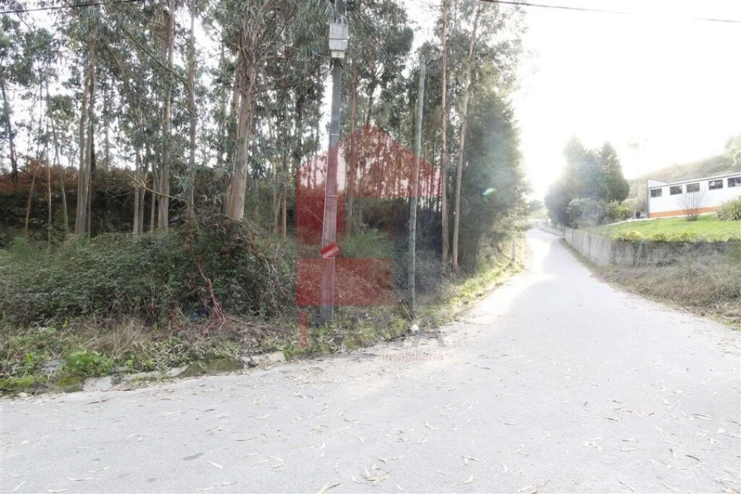 Terreno para Venda em Ponte Foto 8