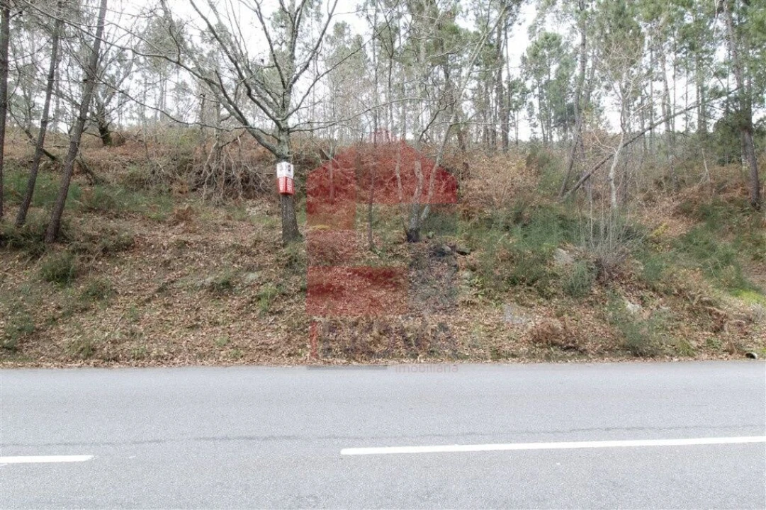 Terreno para Venda em Ponte Foto 3