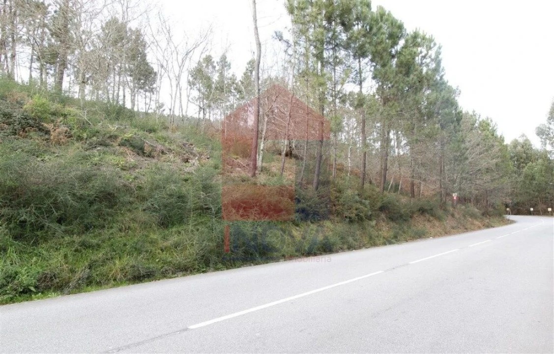 Terreno para Venda em Ponte Foto 2