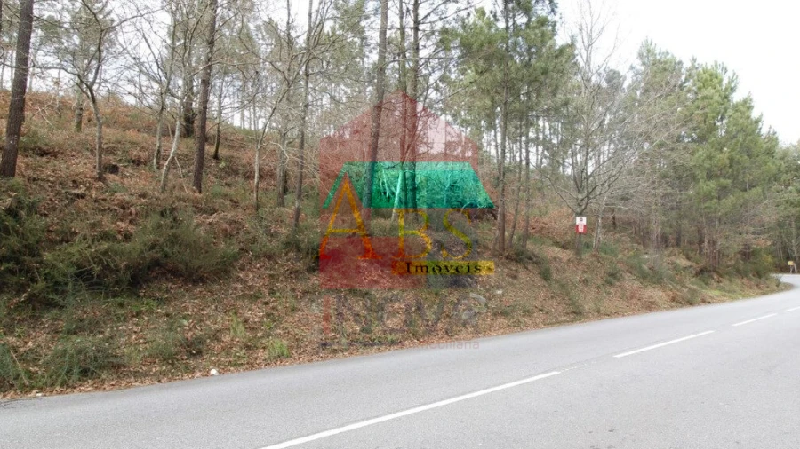 Terreno para Venda em Ponte