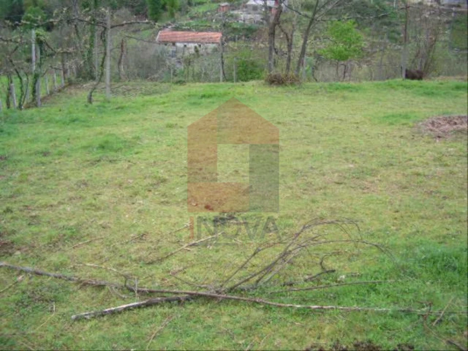 Terreno para Venda em Aboim da Nóbrega e Gondomar Foto 3
