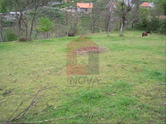 Terreno para Venda em Aboim da Nóbrega e Gondomar Foto 1
