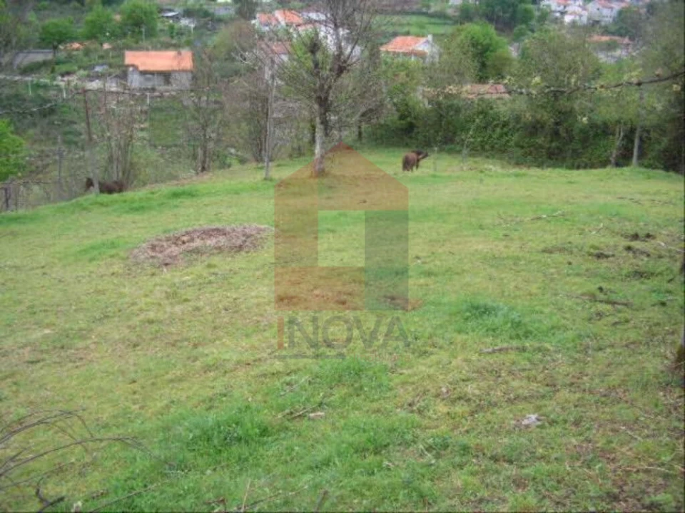 Terreno para Venda em Aboim da Nóbrega e Gondomar Foto 2