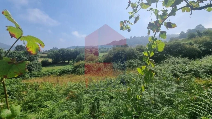 Terreno para Venda em Aboim da Nóbrega e Gondomar Foto 2