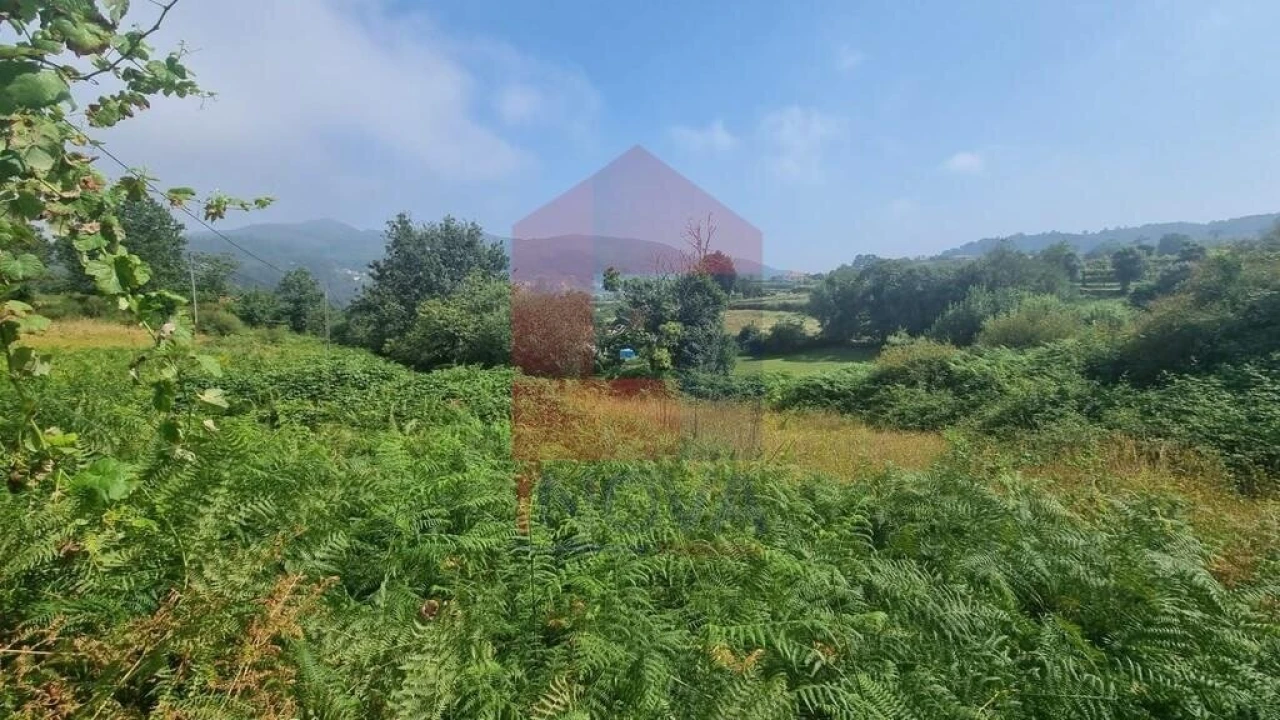 Terreno para Venda em Aboim da Nóbrega e Gondomar Foto 4
