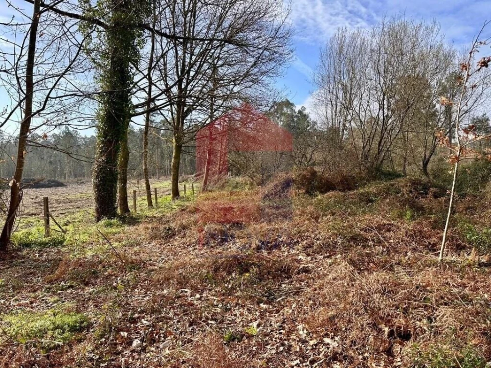 Terreno para Venda em Freiriz Foto 5