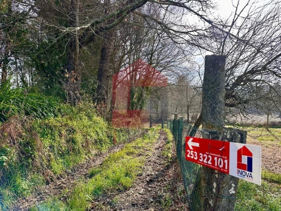 Terreno para Venda em Freiriz Foto 11